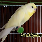 FB_IMG_1502817665995