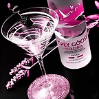 Alcohol_729110451_Gk3yAYWdhPXr
