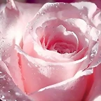 imagenes-amor-2-peq
