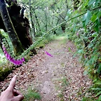 DSCN4368