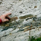 DSCN4446