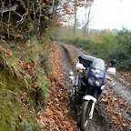 DSCN0869