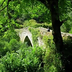 IMG_7536
