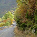 07-IMG_3478