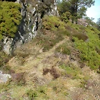 DSCN7671