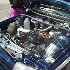 P1100981 (Small)