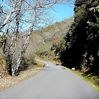 DSCN8031