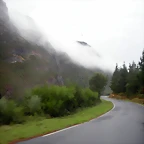 DSCN8489