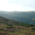 DSCN1896
