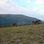 DSCN1895