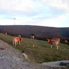 DSCN1903