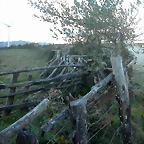 DSCN1906