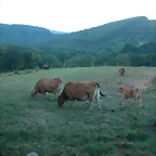 DSCN1931