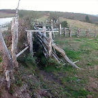 DSCN1907