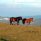 DSCN1898