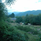 DSCN1929