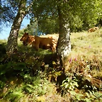 DSCN9200