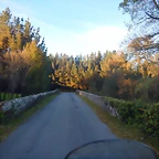 DSCN8969