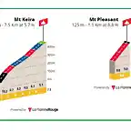 PERFIL COTAS RUTA ELITE