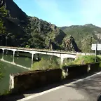 DSCN1981