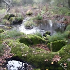 DSCN9038