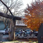 DSCN6754