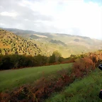 DSCN8465