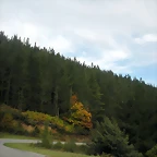 DSCN9298