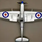 SDC21299