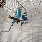IMG_20180420_170936