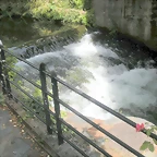 DSCN4184