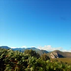 DSCN8852