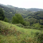 DSCN4784