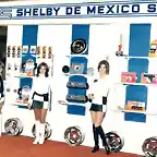 shelbydemexico