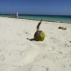 DSCF3994