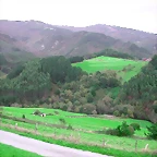 DSCN6307