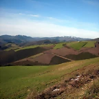DSCN2517