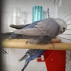 FB_IMG_1496228096344