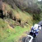 DSCN8381