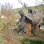 DSCN9468