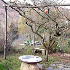 DSCN9471