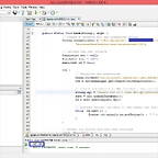 14_NetBeans_Sucessful