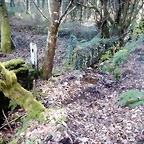 DSCN1424