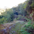 DSCN9366