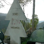 DSCN9141