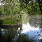 DSCN5358