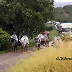 08, por la carretera, marca