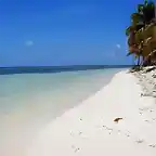 Belize_Pristine beach up north