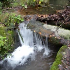 DSCN0996