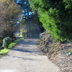 18-IMG_4224